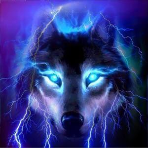 Meet your Posher, Luis